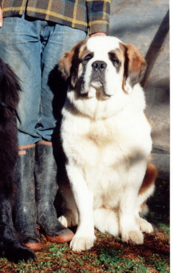 Benbaron's Iota by ADam