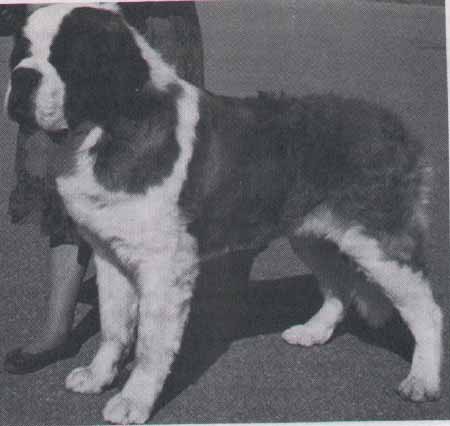 Ch. Cache Retreat Mt Clear Sky