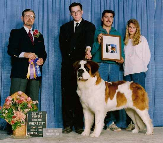 Can. Ch. Bernduff's Peekaboo Electra