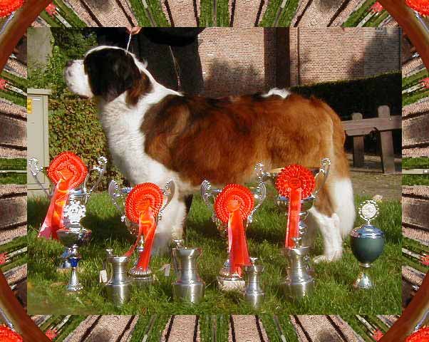 World & Nordic Winner, Multi BIS Ch 2006 (Norway, Poland (NUCH), Switzerland, Luxembourg, Netherlands), Am Ch 2003 Lasquite's Dakota Von Iceman