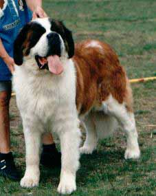 Dein Hards Kleona of Snowland