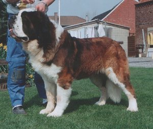 Glinnysgarden Union Jack