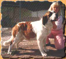 Ch. Heimer's Ocean O' Fantasy