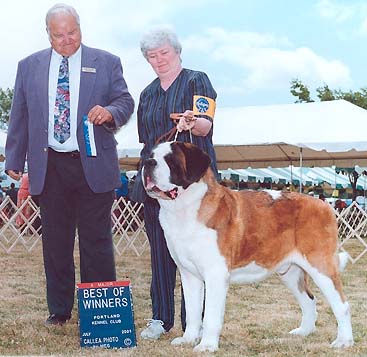 Am Can Bah Ch. Sky Meadows The Iceman