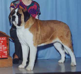 Ch. Lynchcreek's Isabella New