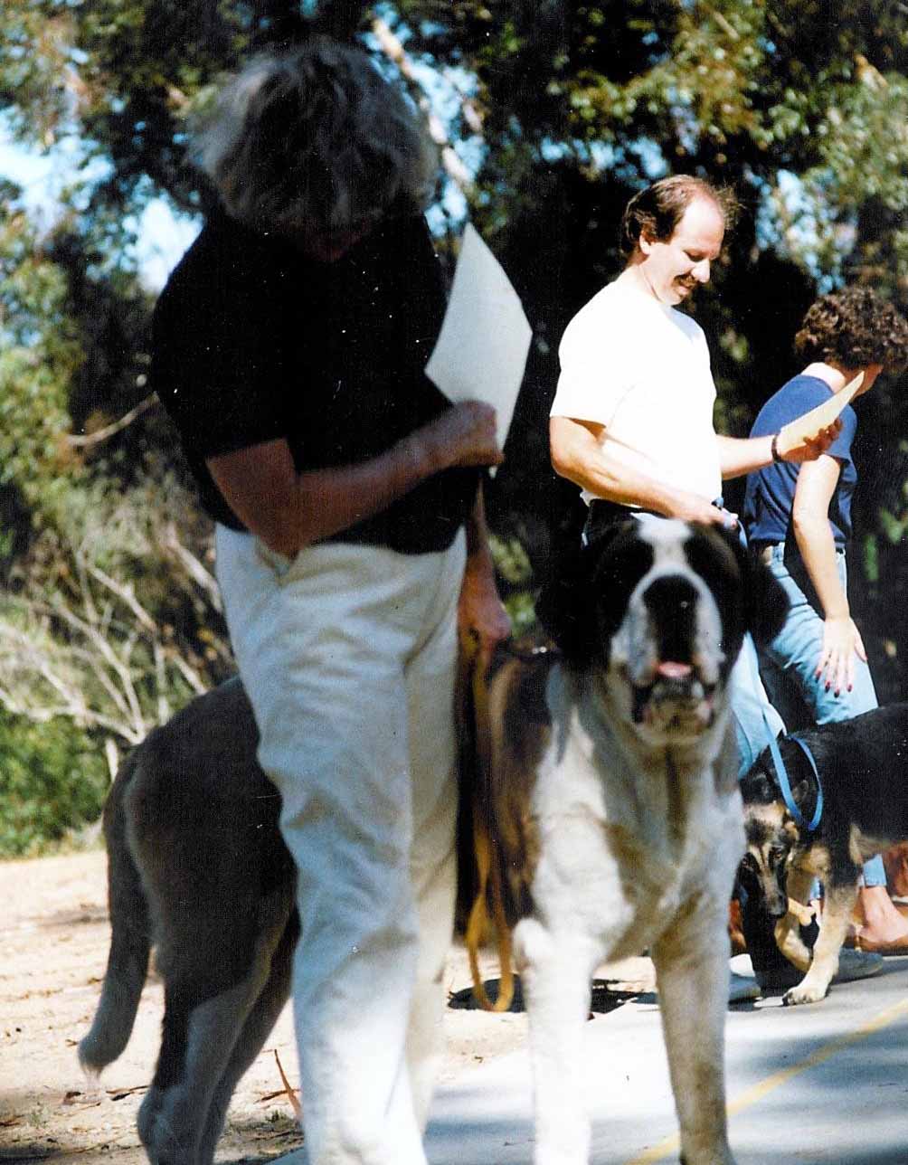 Sky Meadow's Copper Knight