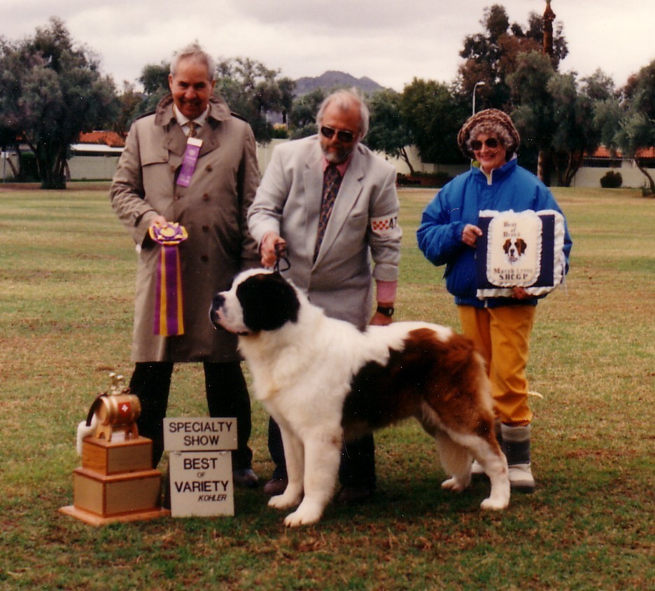 Am. Ch Sweetholm's Gad About