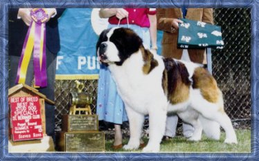 Ch. Sweetholm's Heartbreak Kid